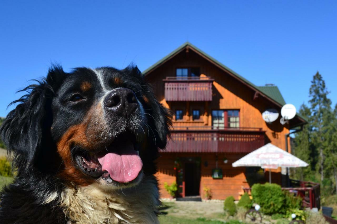 Penzión Dinda Stará ľubovňa Exterior foto